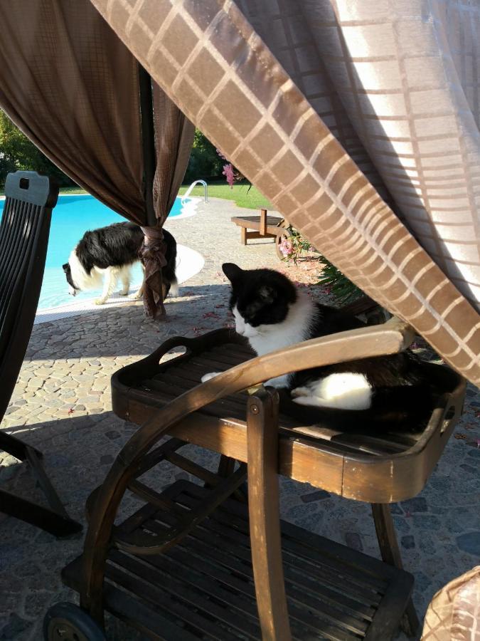 B&B Il Martin Pescatore Bagnolo San Vito Exteriér fotografie
